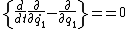 \{\frac{d}{dt}\frac{\partial}{\partial \dot{q_1}}-\frac{\partial}{\partial q_1}\}==0
